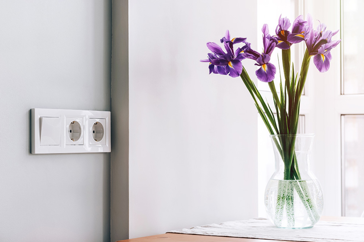 Design bei Elektro-Zschiesche in Königswartha
